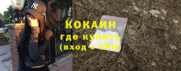 mdpv Богородск